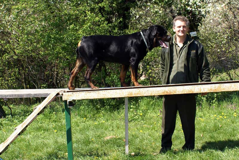 Výcvik