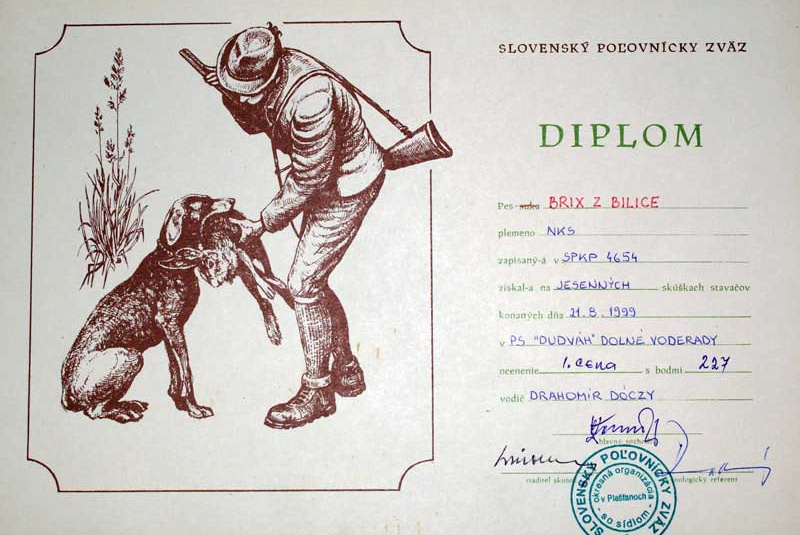Referencie